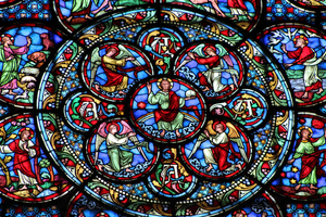 Enlèvement arbre urgence Chartres
